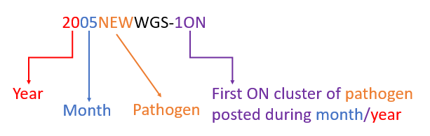 Text description: A diagram illustrating the structure of a cluster code. Cluster code is 2005NEWWGS-1ON. Breaking down the structure of code is as follows: 20 (year); 05 (month); NEW (pathogen: Salmonella Newport); WGS (identified through whole genome sequencing) -1ON (first Ontario cluster of pathogen posted during month/year).