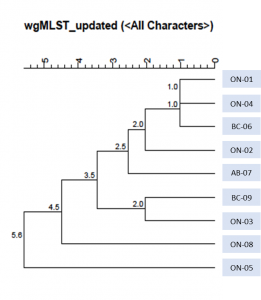 Text description: WGS tree illustrating genetic relatedness of nine cases. Cases are all genetically related by 0-5.6 wgMLST allele differences. 